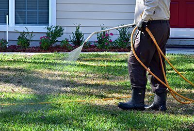 What Do Lawn Care Services Do? image